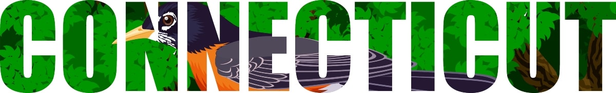connecticut banner